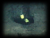 115 Fins